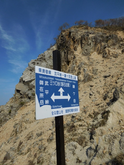 DSCN0529