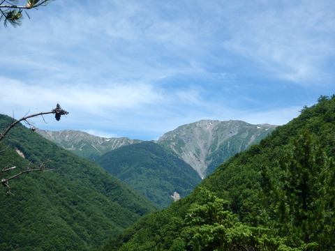 P7150072