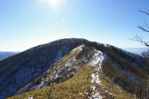 IMGP3386