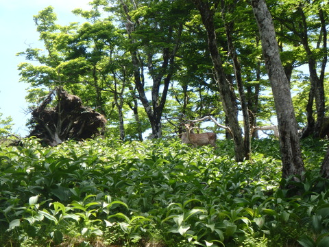 P6200133