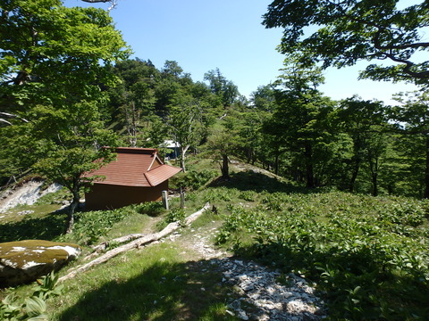 P6190111