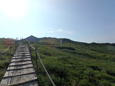 P7290109