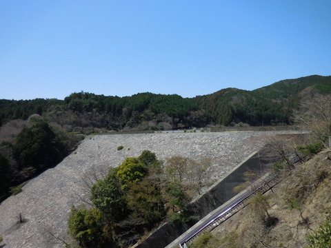 DSCN0356