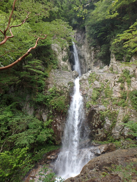 P7210323