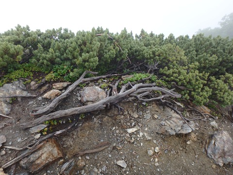 P7270359