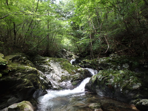 P7020027