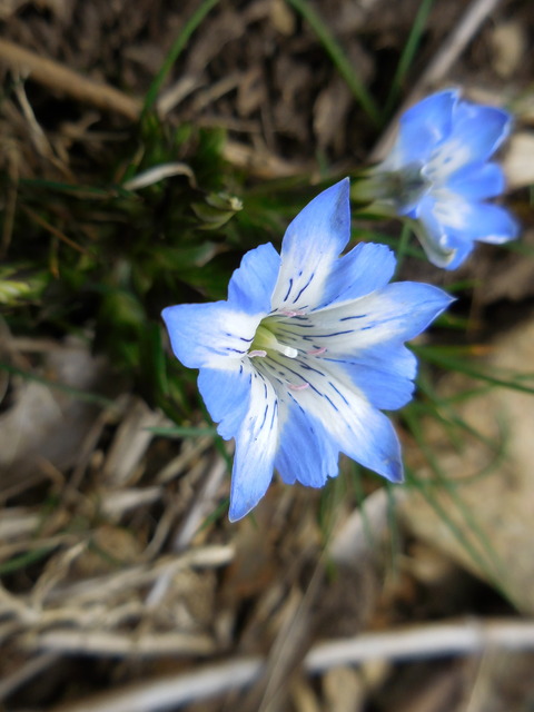 DSCN0456