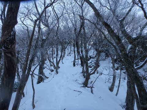 PC150309
