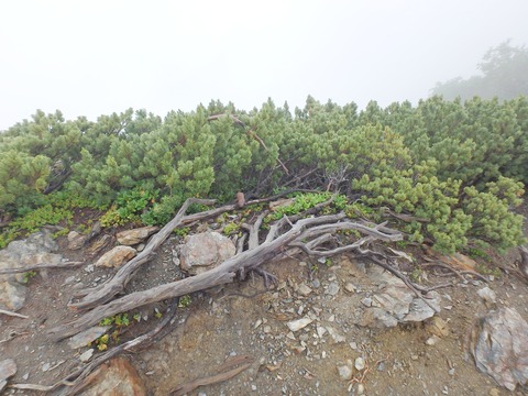 P7270357