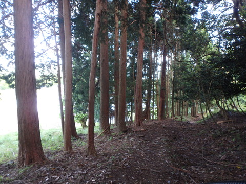 P5100341