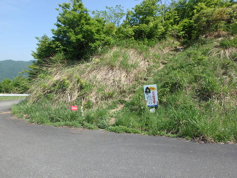 P5300006