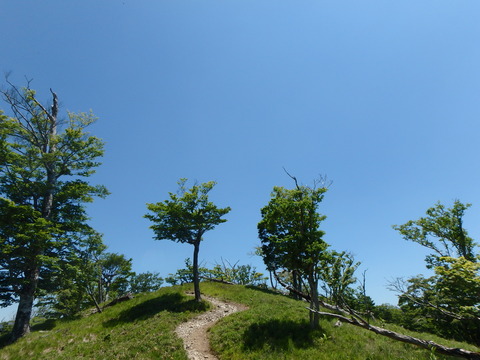 P6190061