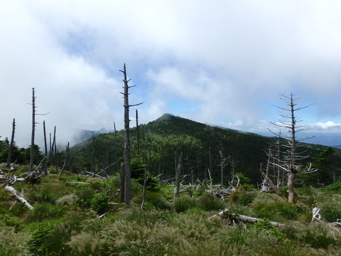 P7140237