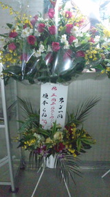 5a96b3b6.jpg