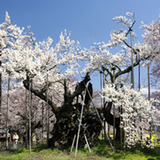 1山高神代