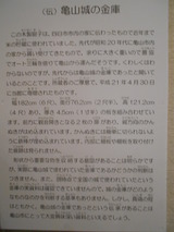 DSCN3106