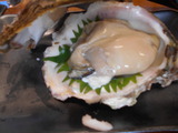 DSCN2480