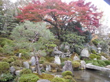 DSCN7734