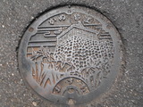 DSCN3117