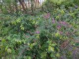 DSCN2357