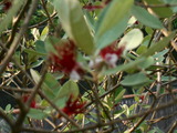 DSCN2223