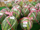 DSCN2712