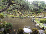 DSCN2502