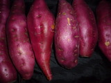 P1130013
