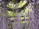 DSCN1543
