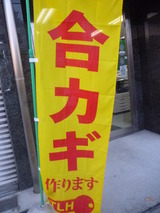 P1090994