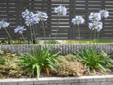DSCN2367