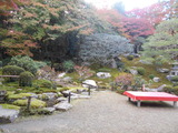 DSCN7720