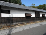 DSCN3110