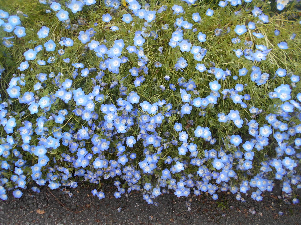 DSCN8967
