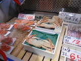 DSCN5352