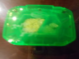 DSCN2427
