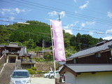P1020291