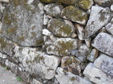 DSCN7730