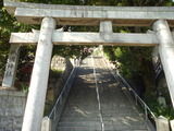 平野3