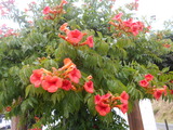 DSCN2279