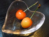 P1160118