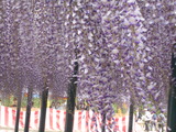 DSCN1539