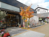 DSCN7716