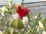 DSCN2224