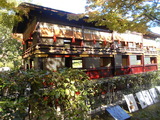 DSCN7626