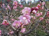 DSCN0502