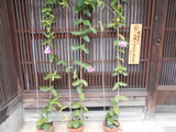 DSCN3085