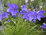 DSCN2408