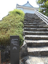 DSCN3103
