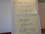 DSCN2745